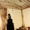 cantinadetalleCNcabeza-real Dguepardo